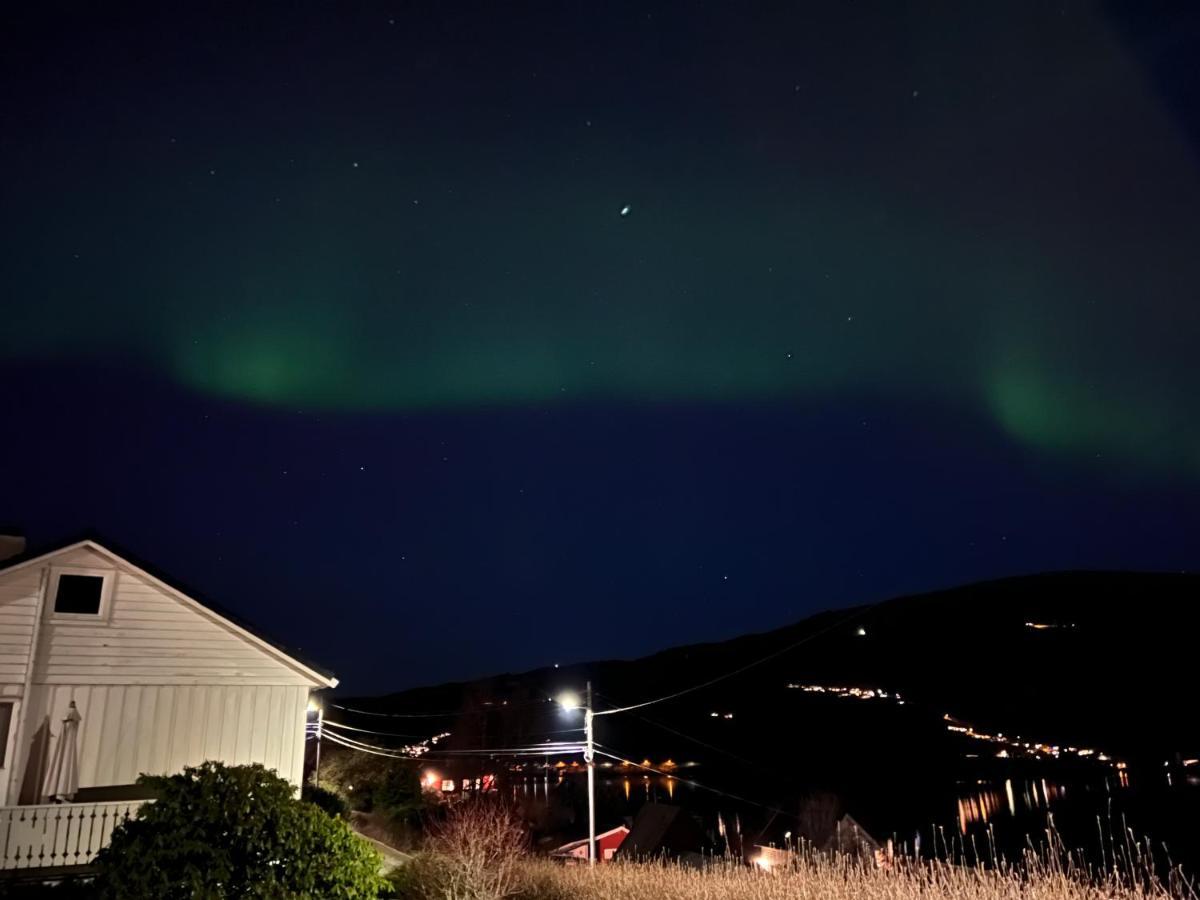 Stay Inn Bergen Apartment エクステリア 写真